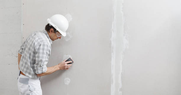 Best Asbestos and Lead Testing During Mold Inspection  in Eudora, AR