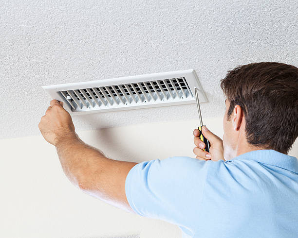 Best Mold Documentation for Insurance Claims  in Eudora, AR