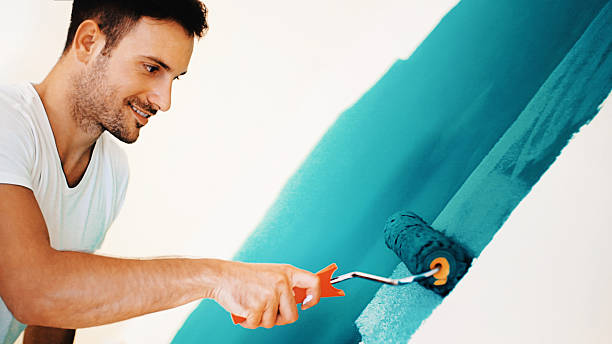 Best Black Mold Removal  in Eudora, AR