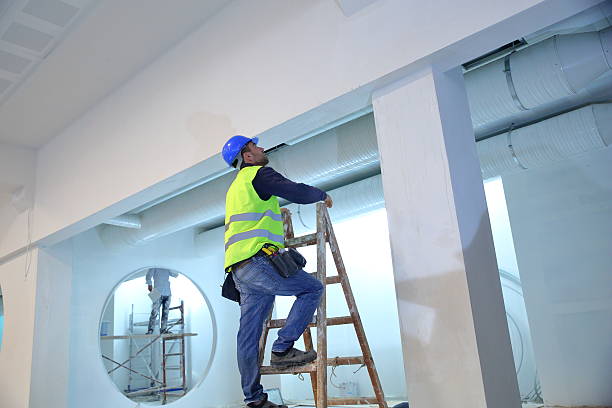 Trusted Eudora, AR Mold Removal Experts