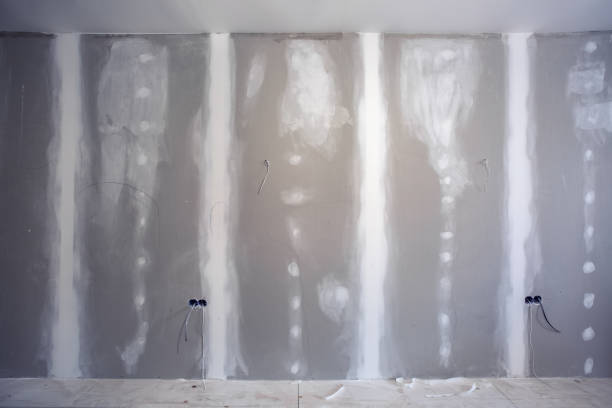 Best Basement Mold Removal  in Eudora, AR